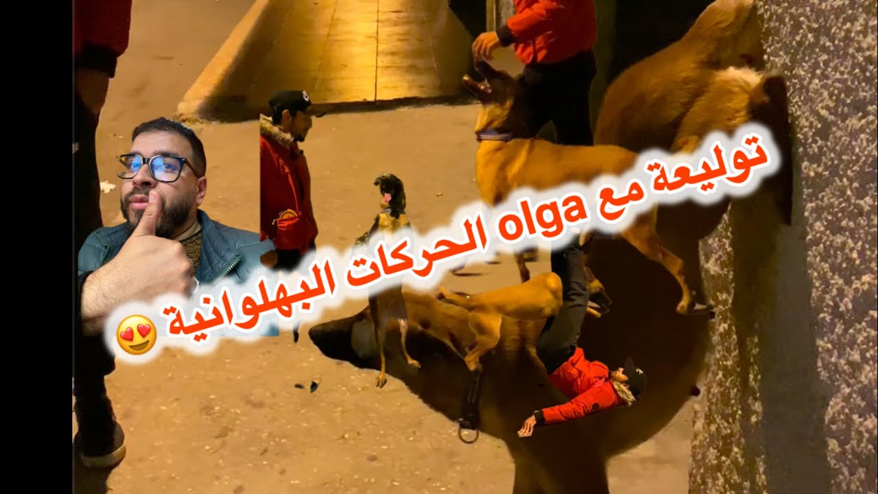 اجي تفرج فالحركات البهلوانيه مع احسن كلبة في المغرب لي من السلالات العالمية 😍😍🌹