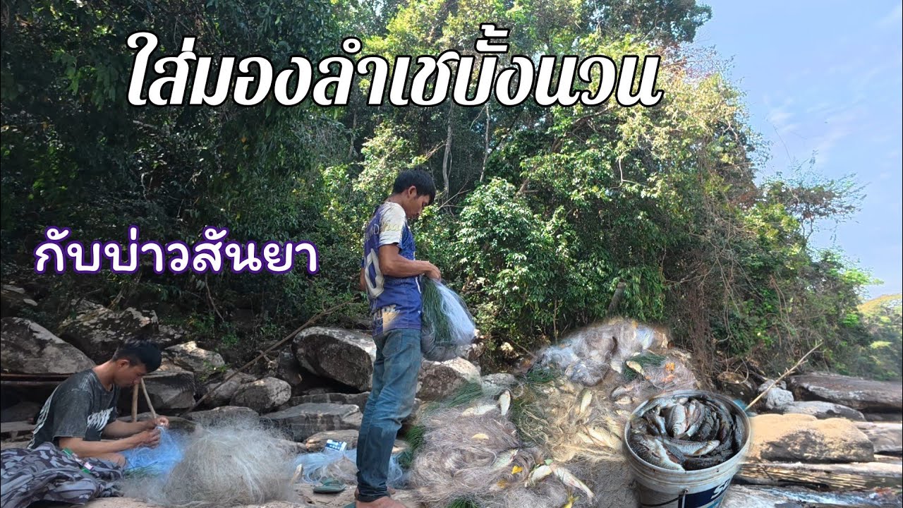 ใส่มองลำเชบั้งนวน หากินตามธรรมชาติต้นตำหรับคนหากิน//พรานจิต คนหากิน//