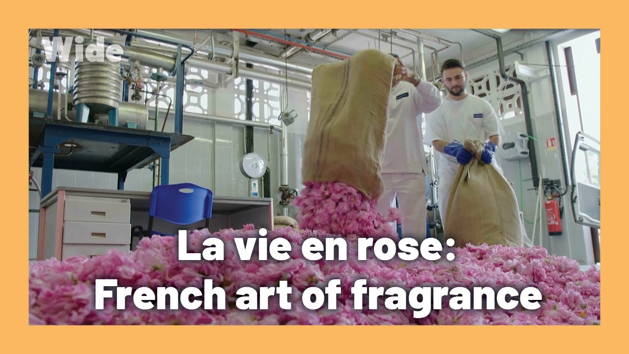 The rose of 100 petals: the scent of French Riviera | WIDE