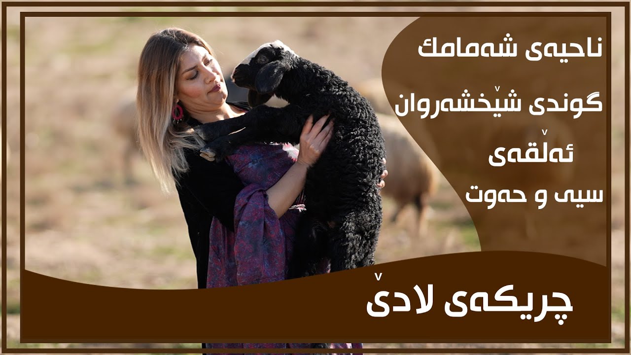 CHRIKAI LADE - ALQAY - 37 - GUNDI SHEXSHARWAN | چریكه‌ی لادێ - ئه‌ڵقه‌ی - ٣٧ - گوندی شێخشه‌روان