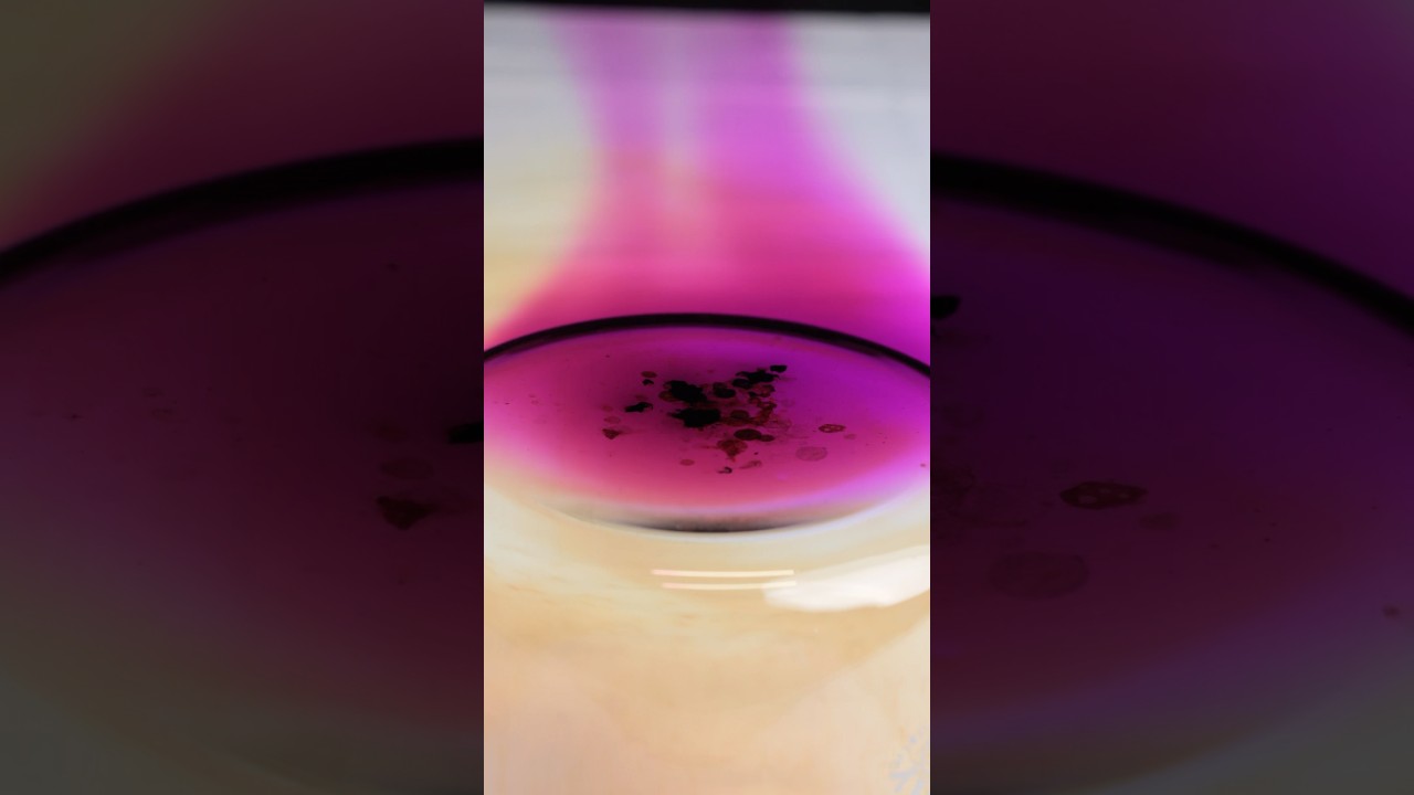 The Most Sensitive Compound on Earth? - Nitrogen Triiodide #science #experiements #chemistry