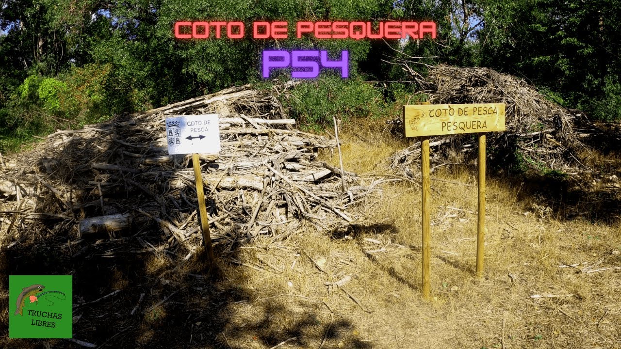 PROYECTO 54 | COTO DE PESQUERA  🎣ESLA🎣   OS LO RECOMIENDO