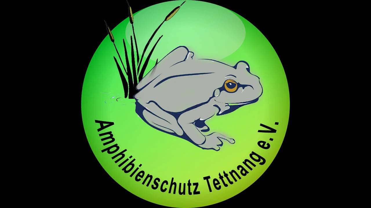Amphibienschutz in Tettnang
