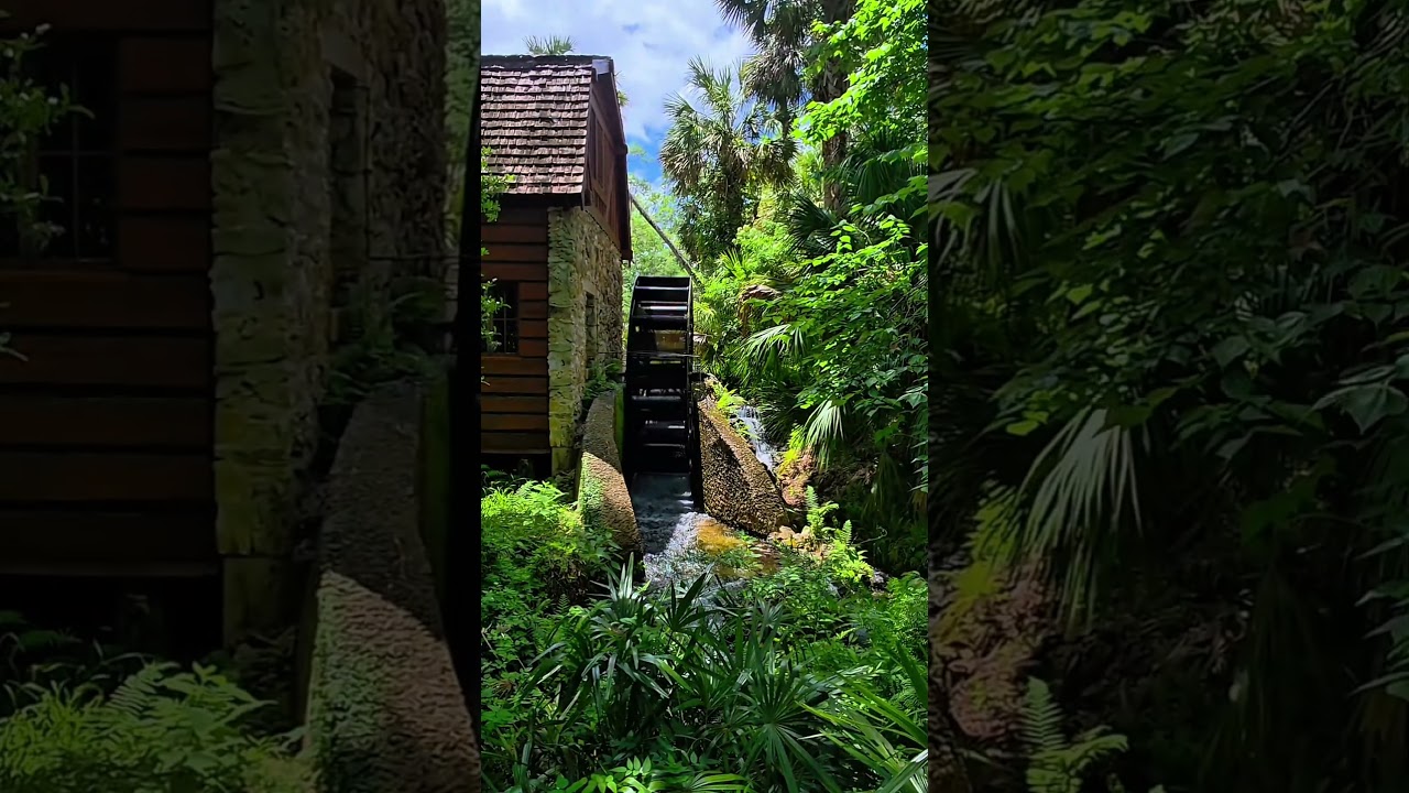 Living Here Series With Jen Homes - Ocala’s Hidden Oasis: Juniper Springs! JenHome.net 