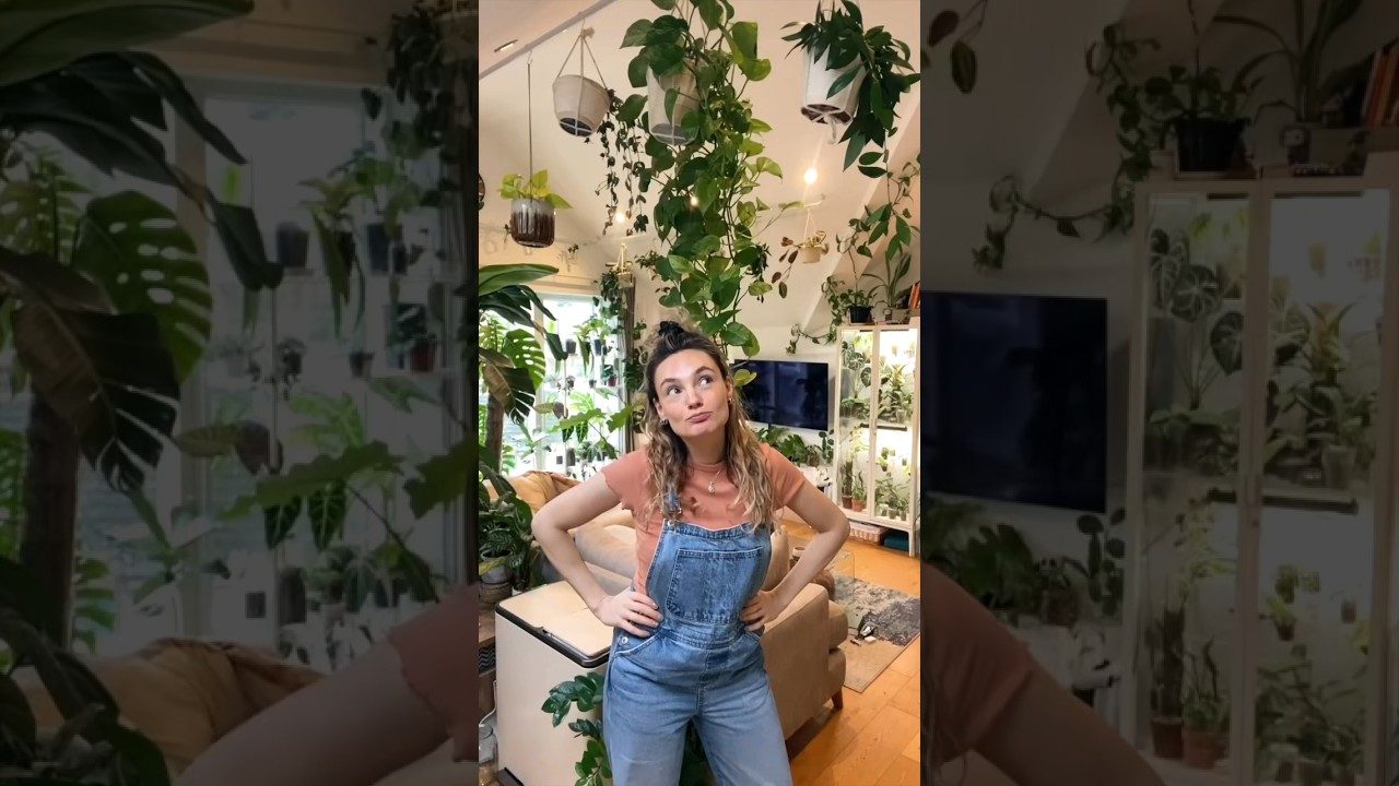 Here&rsquo;s mine, now show me YOURS 🌿 #houseplants #plants #plantcare #indoorplants #indoorjungle