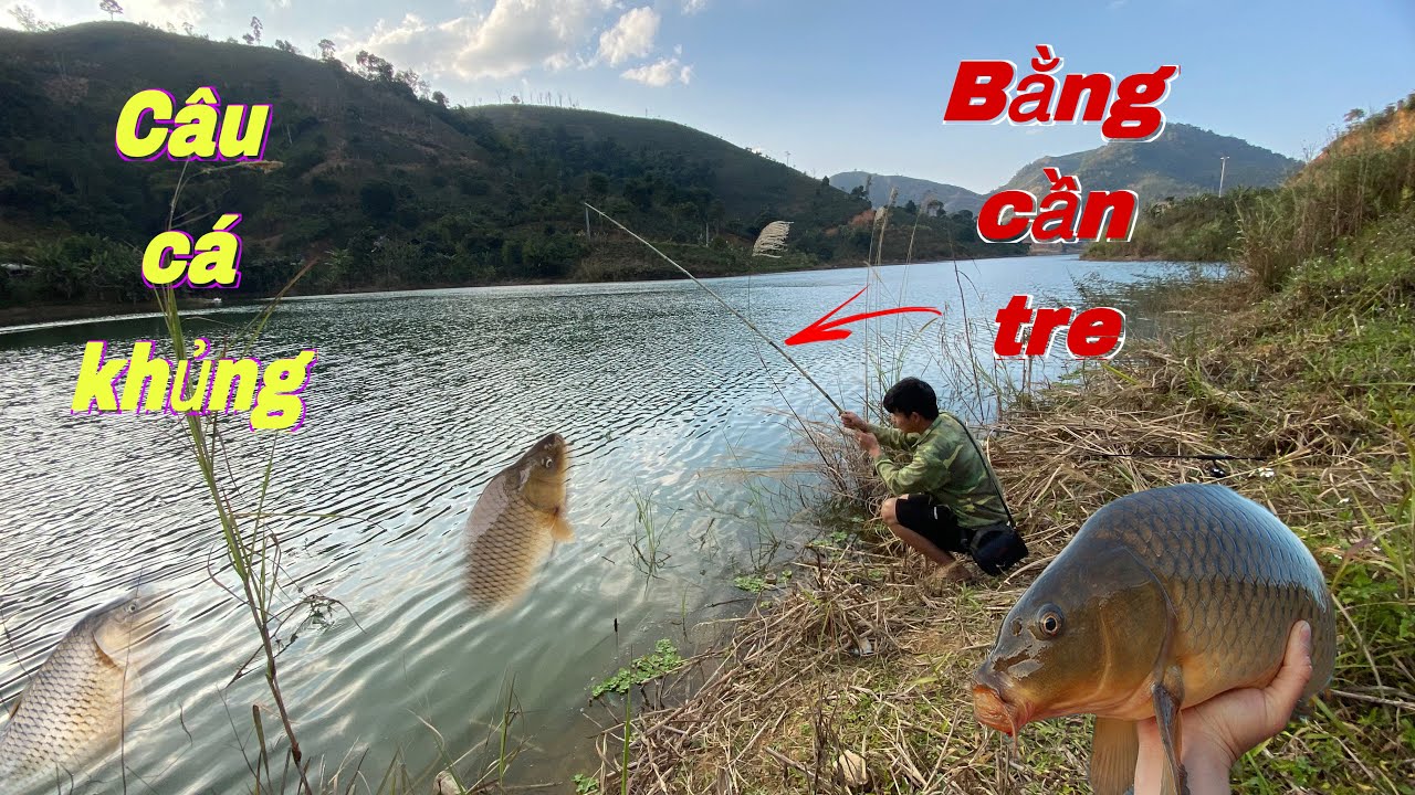 Câu Cá  Khủng Bằng  Cần Làm Bằng  Tre Cực Chất . Câu Cá Bằng Cần leru | Duy Tôm Tv