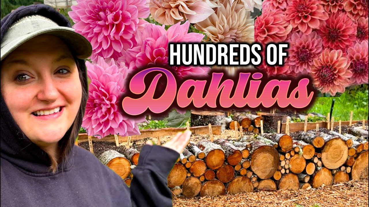 BUILDING & PLANTING *HUGE* DAHLIA BEDS! 60+ varieties & colors! Wood round log raised beds!