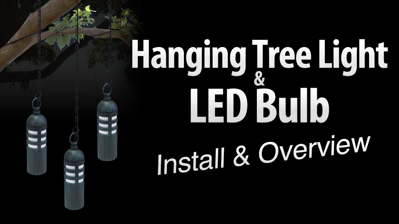 Hanging tree light & LED light bulb install & overview by Total Outdoor Lighting