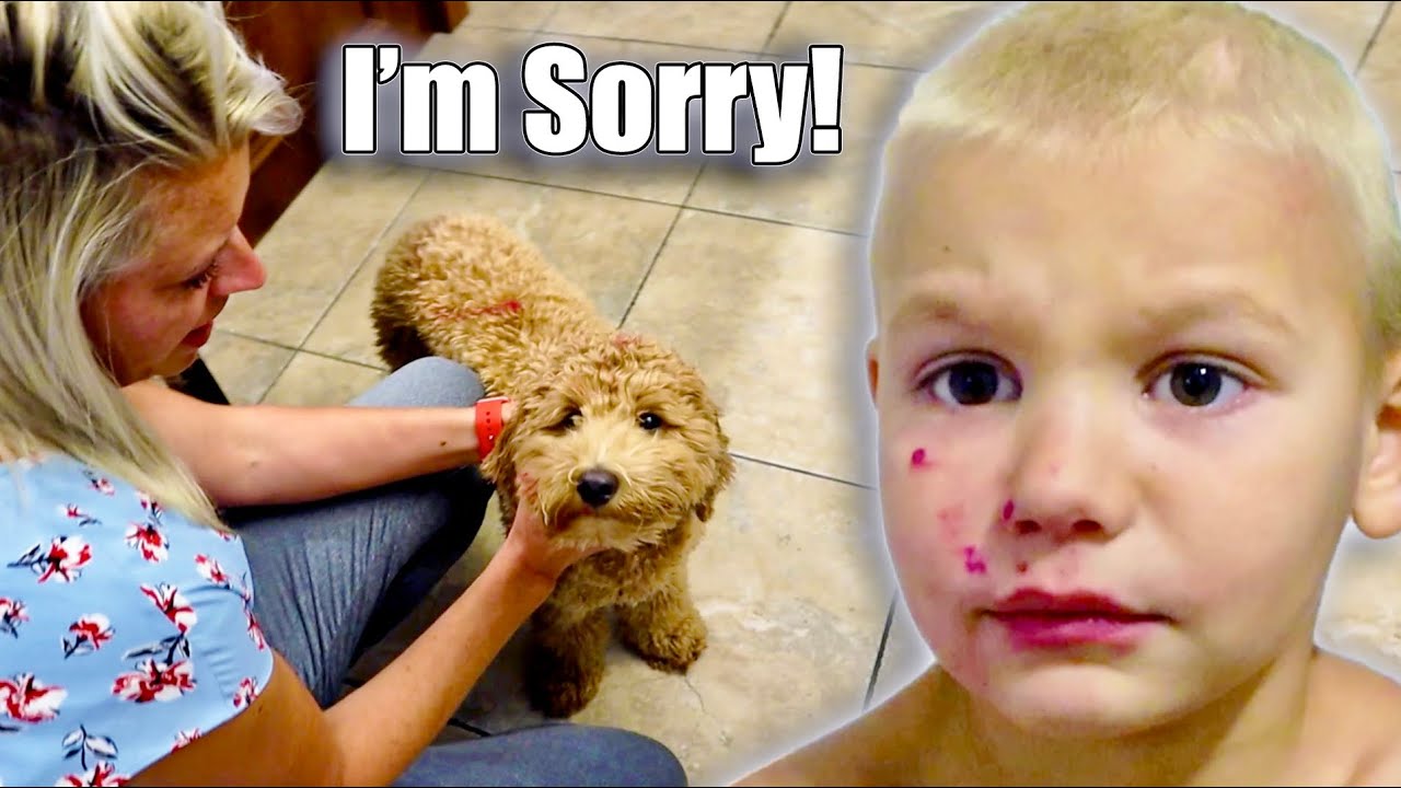 You CAN'T Do That To The DOG!