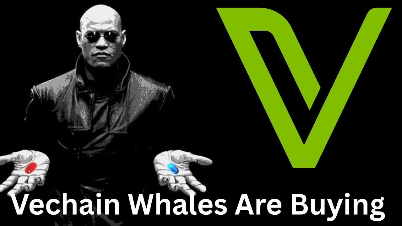 Рост цен на Vechain (VET) на медвежьем рынке. Насколько высоко мы можем подняться? Прогноз цены и...