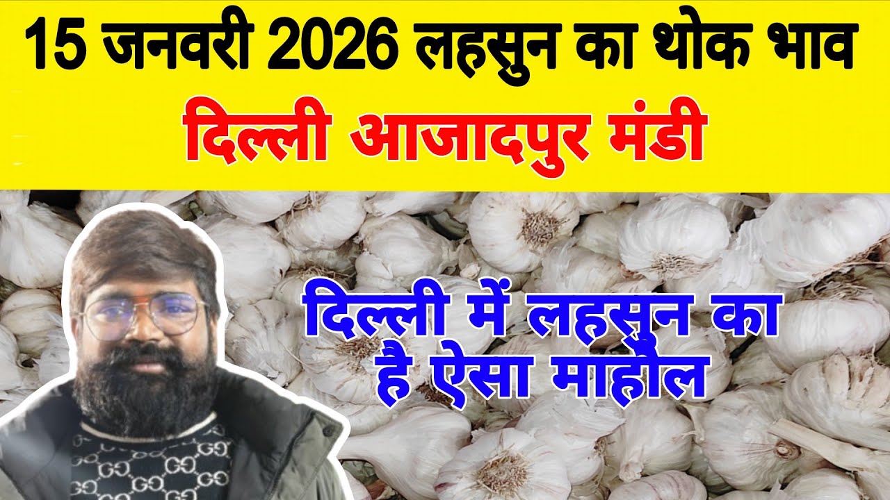 15 Jan 2026 | Today Garlic Market Price | Garlic Price The Shocking Prediction #mandirates #garlic