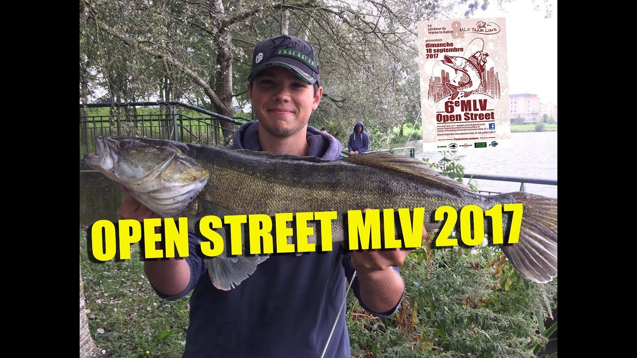Open Street marne-la-vallée 2017