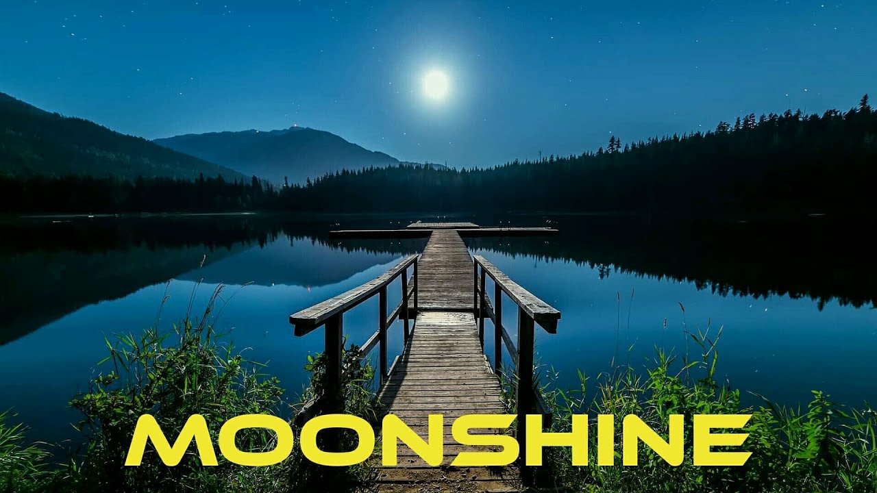 [FREE] Reggae Instrumental 2022 | Stick Figure Type Beat  - Moonshine