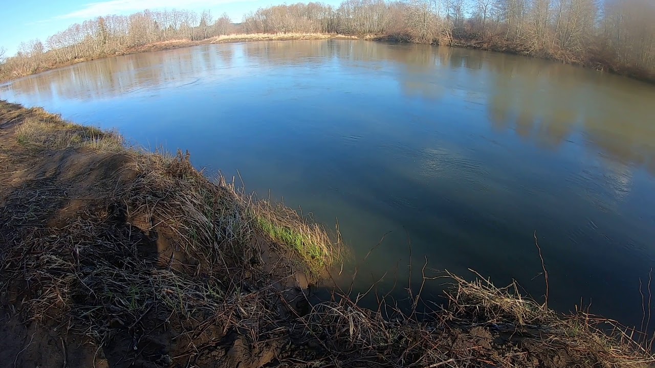 Fishing shack on the Chehalis river
