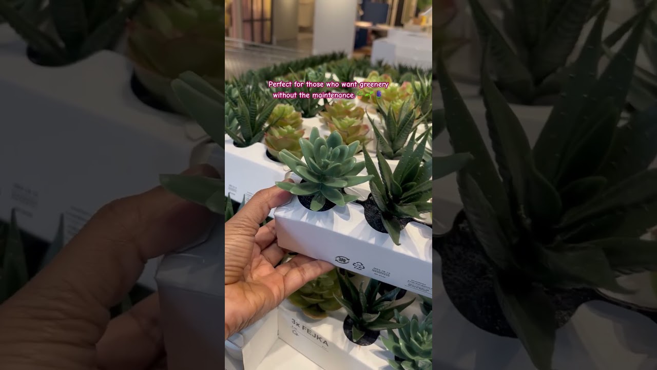 IKEA India New Beginnings Offer | 20% Off Artificial Plants| 2025 Sale!by walkinthrough