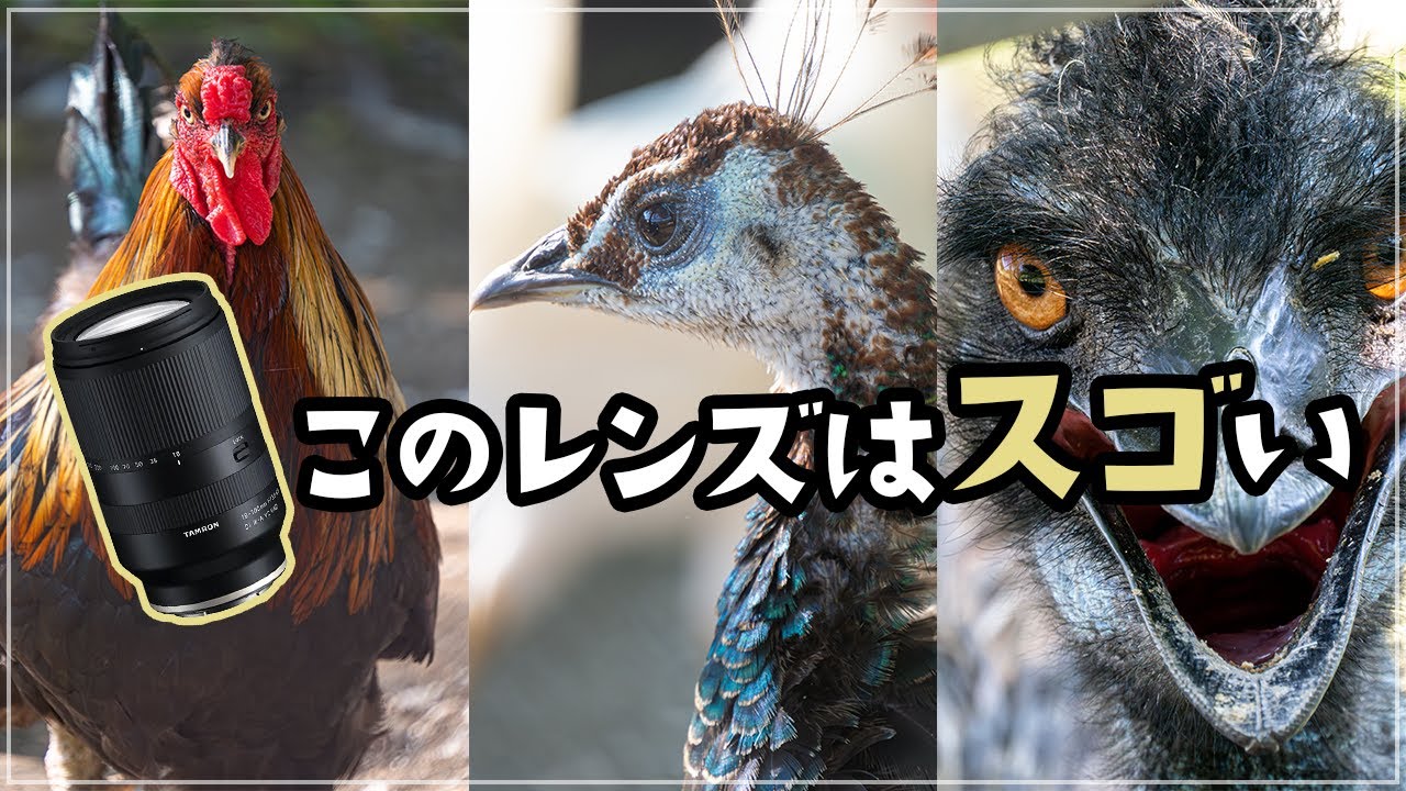 先行レビュー TAMRON 18-300mm F/3.5-6.3 Di III-A VC VXD