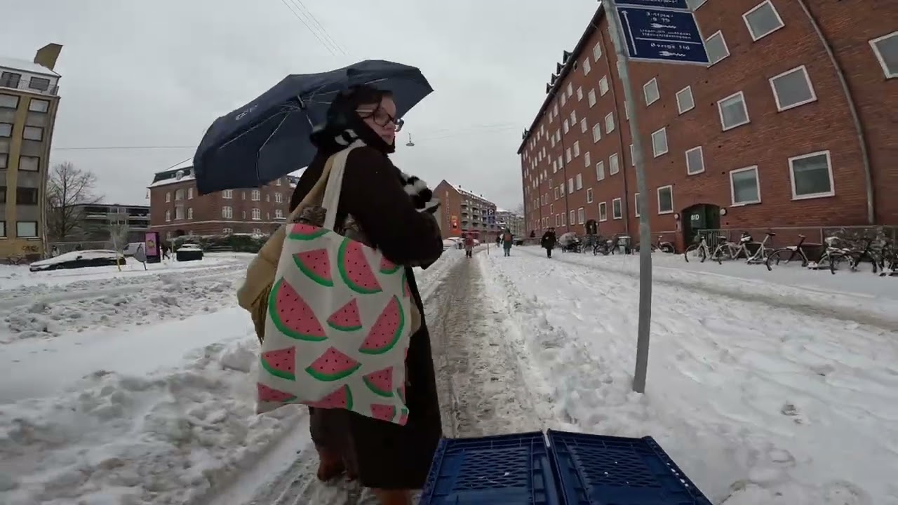 Snowy home to Cc pt 1