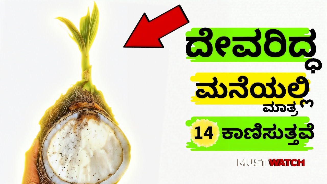 ದೇವರಿದ್ದ ಮನೆಯಲ್ಲಿ ಮಾತ್ರ ಈ 14 ಕಾಣಿಸುತ್ತವೆ | Pooja Vidhana in Kannada ನಿತ್ಯ ಪೂಜಾ ವಿಧಾನ #ದೇವರ #lakshmi