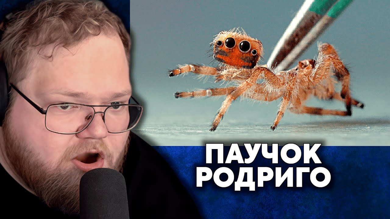 Т2х2 СМОТРИТ: ЧТО-ТО ПРОИЗОШЛО С ПАУКОМ РОДРИГО | SlivkiShow
