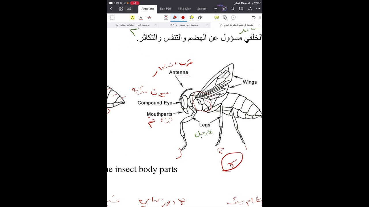 محاظره 1 علم الحشرات الجزء الاول مرحله ثالثه ادله جنائيه كورس ثاني 