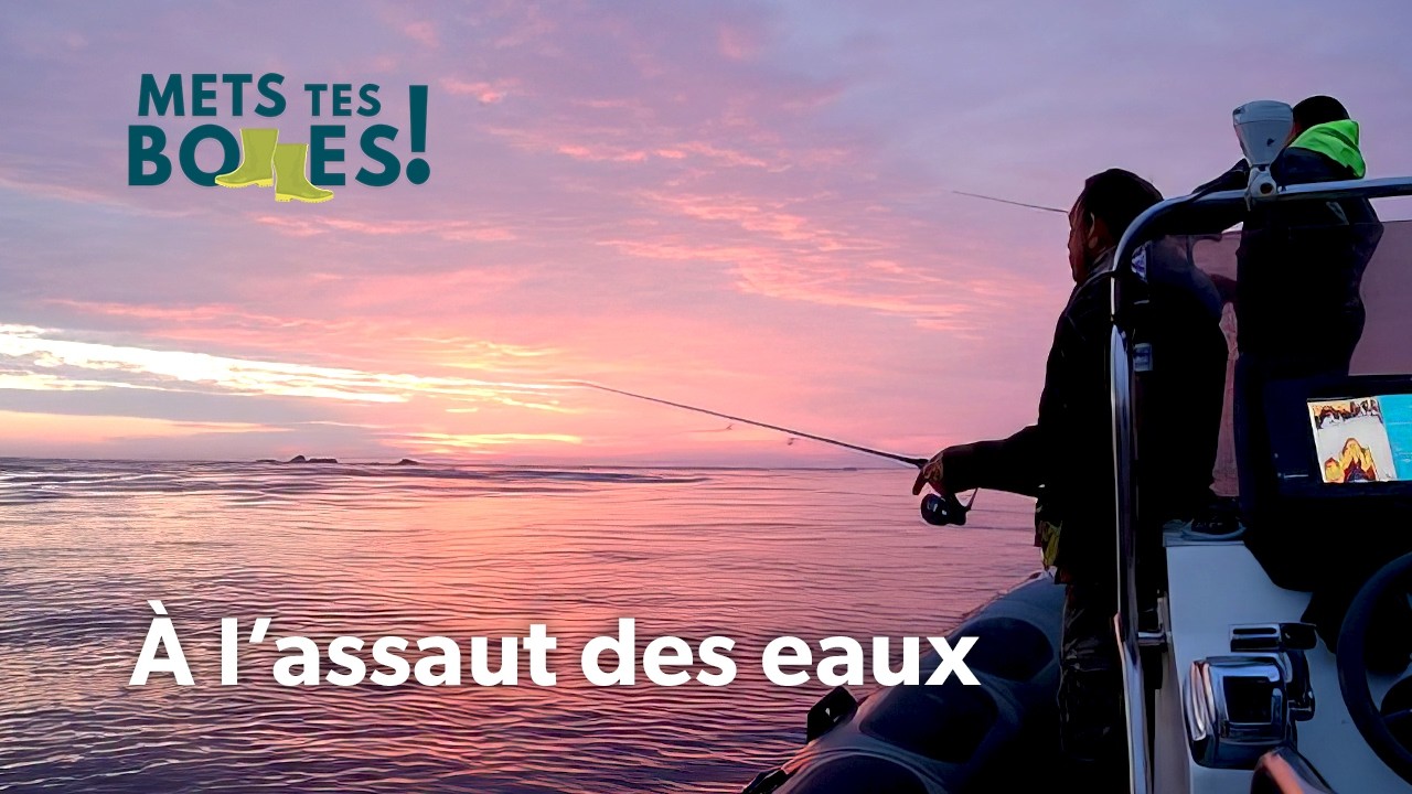Bars et lieus : l’art de la pêche en pays Bréhatin