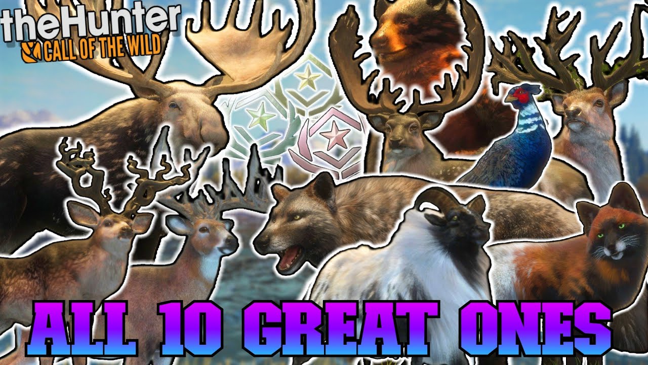 Охота на всех 10 ВЕЛИКИХ в одном видео! (Статистика включена) — The Hunter Call of the Wild