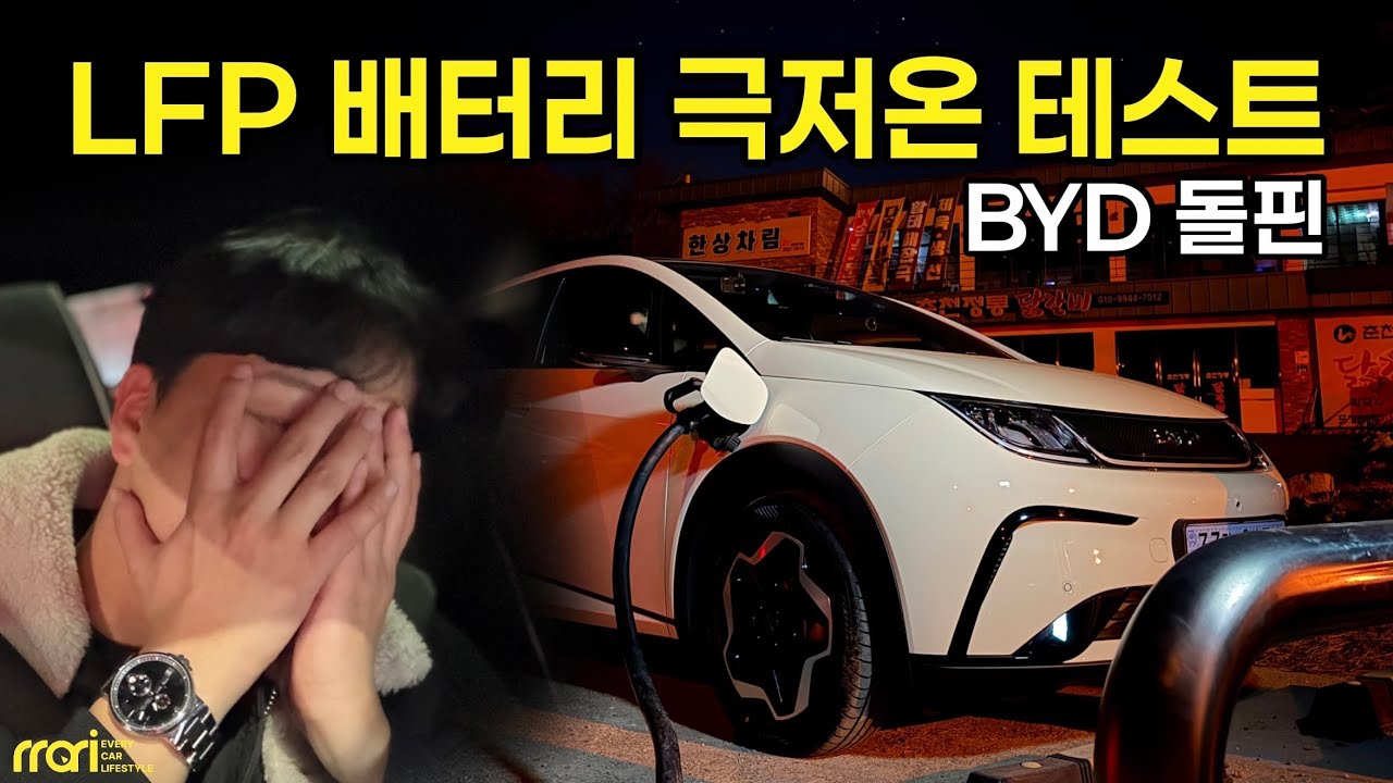 극가성비 전기차, BYD 돌핀은 겨울에 얼마나 갈까? - LFP 배터리