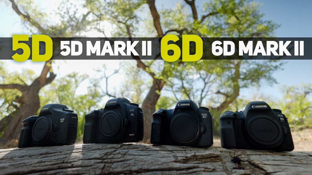 6D Mark II / 6D / 5D Mark II / 5D: DSLR Comparison