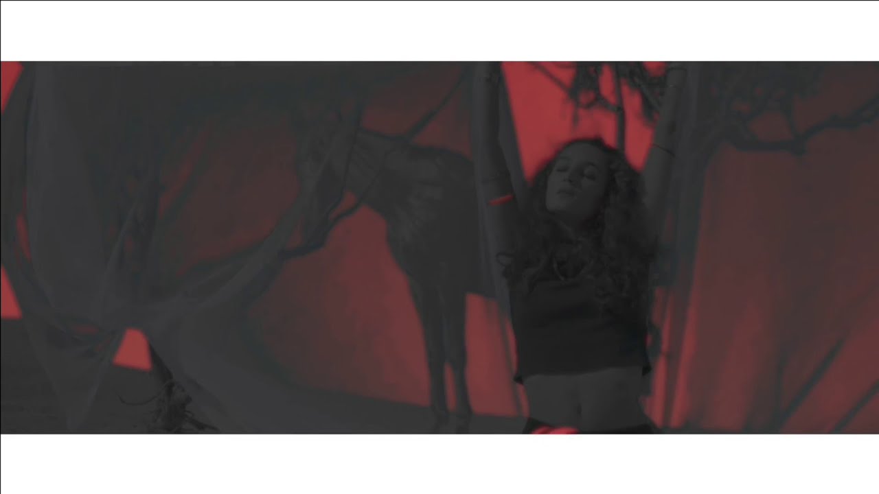An Eagle in your Mind  -  Angola Moon Official Music Video