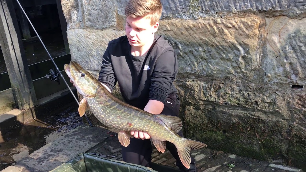 20210228 Haaksbergen Snoek vissen in de Buurserbeek
