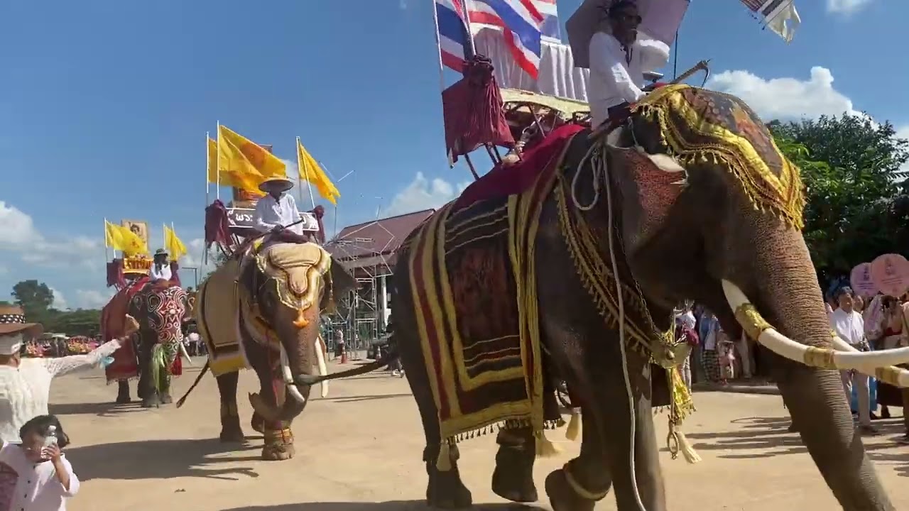 กฐินช้างยิ่งใหญ่