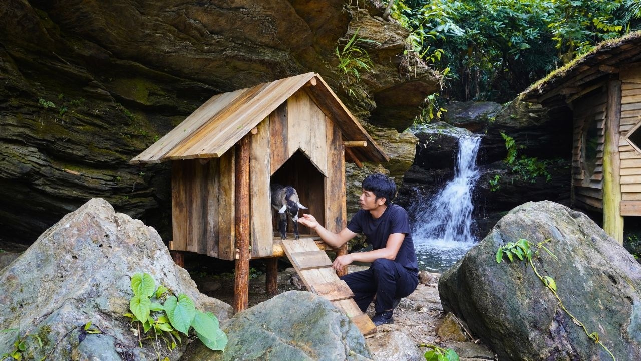 Building a Mini Cabin for the Baby Goat | Releasing 500 Fish into the Forest Stream