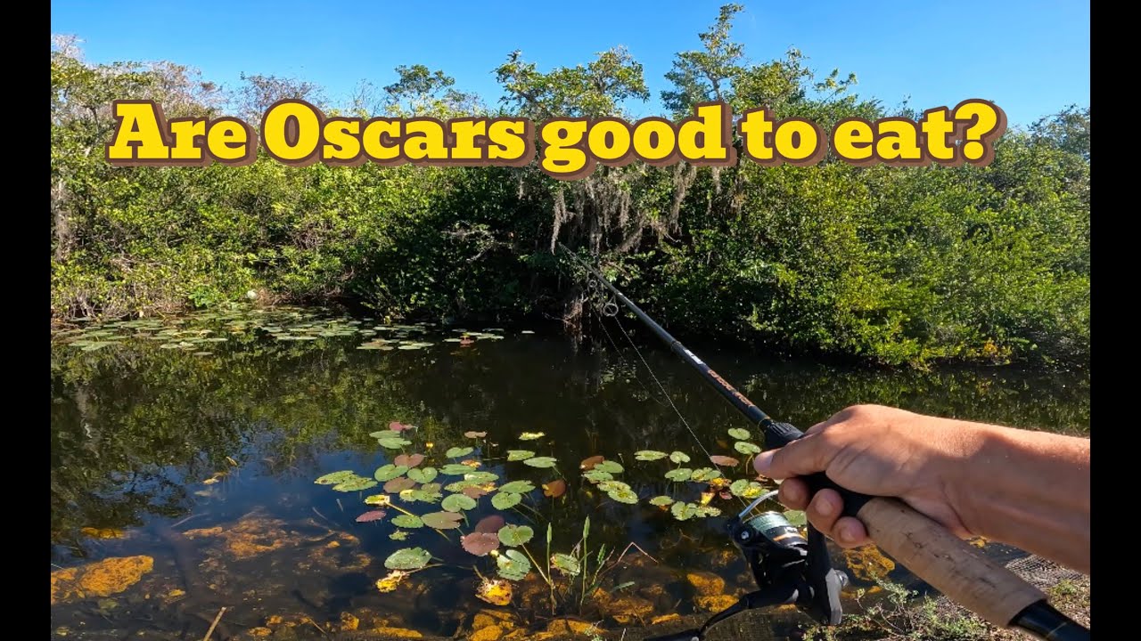 Поймай и приготовь что-нибудь в Эверглейдс (издание «Оскар»)