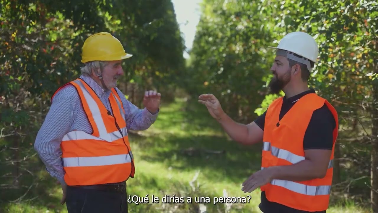 ¿Qué pasa en Uruguay con los suelos luego de la forestación?