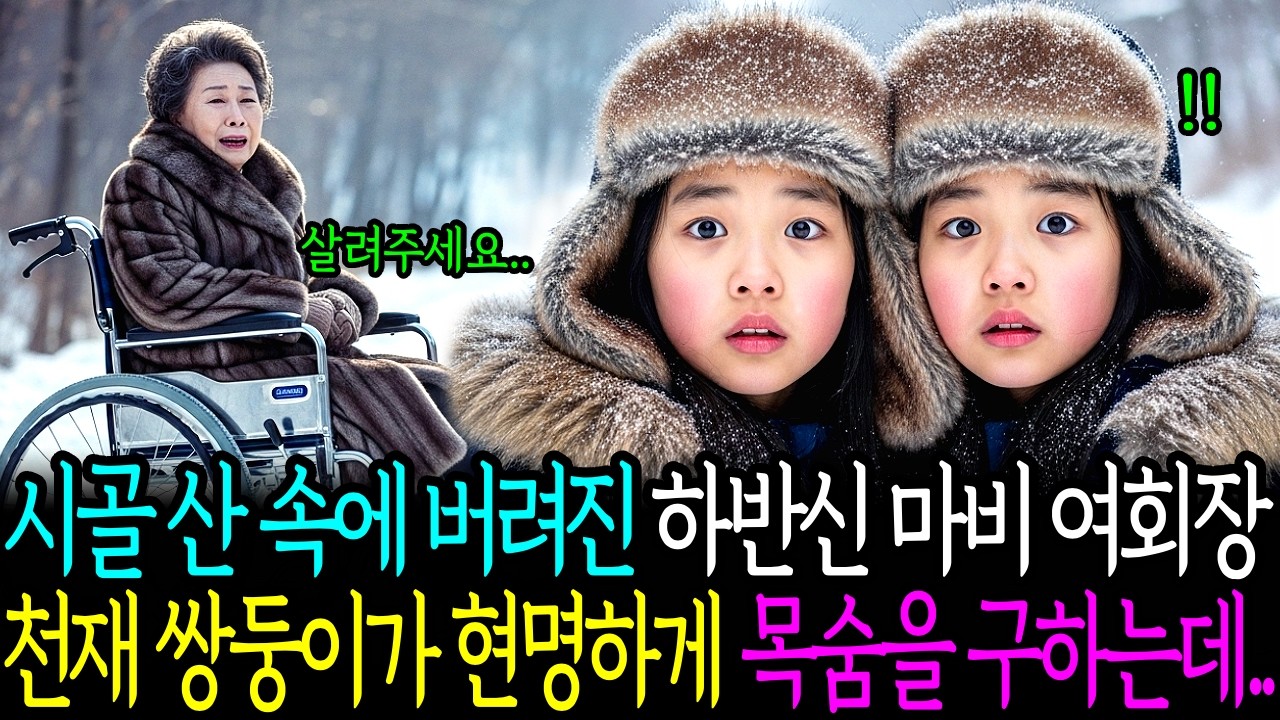 시골 산 속에 버려진 하반신 마비 여회장 천재 쌍둥이가 현명하게 목숨을 구하는데.. ㅣ감동사연ㅣ노후사연ㅣ사연라디오ㅣ오디오북