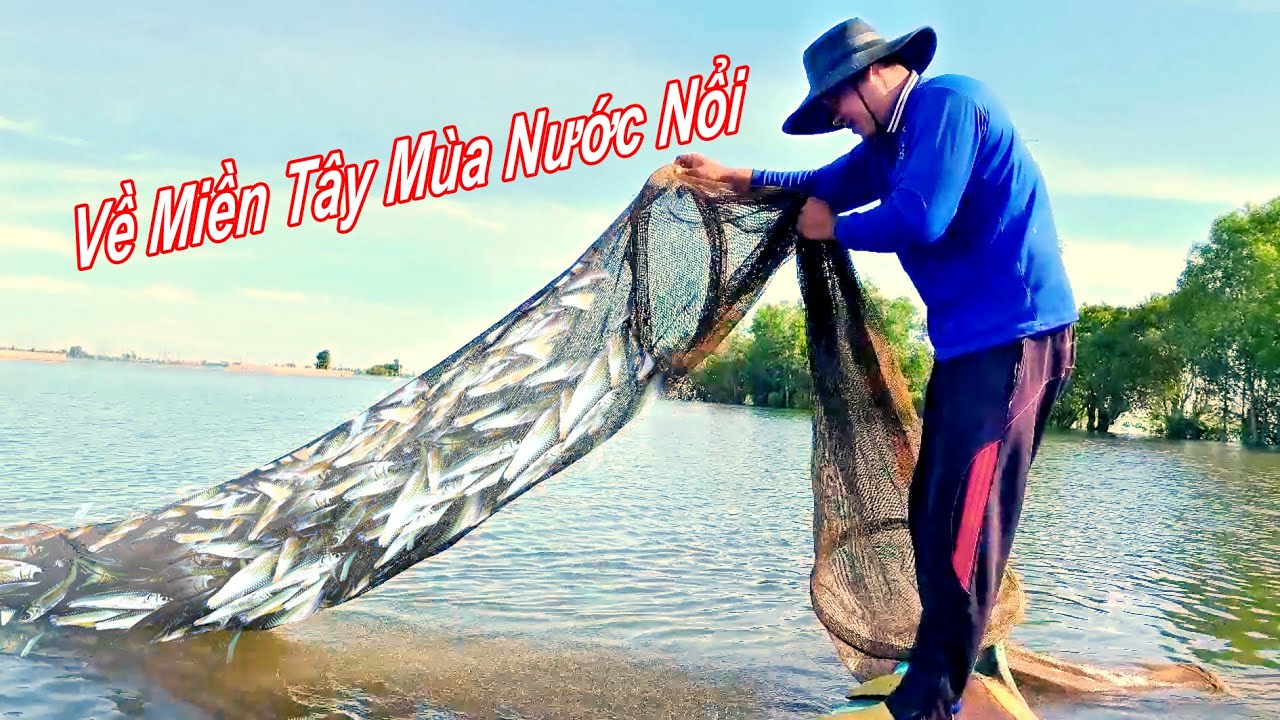 Về Miền Tây Mùa Nước Nổi Nghề Dớn Cá Linh Trên Cánh Đồng Lũ An Giang