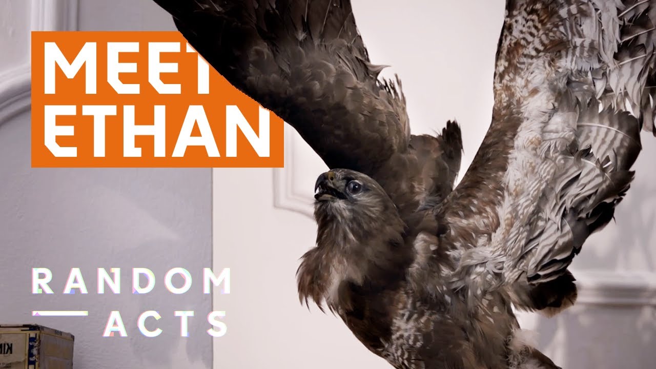 Sensous & Hypnotic Short | Luminous Freedom by George Wu | Short Film | Random Acts