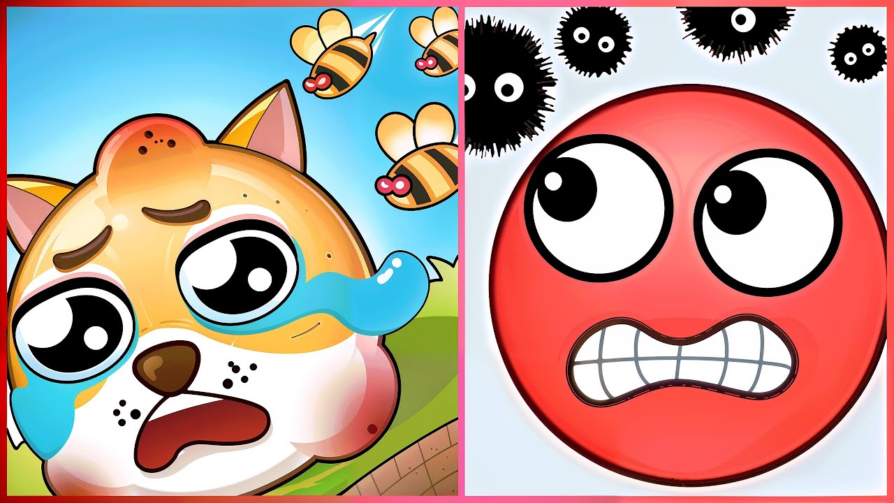 Save the Dog VS Hide Ball - All Levels Speed Gameplay ep1