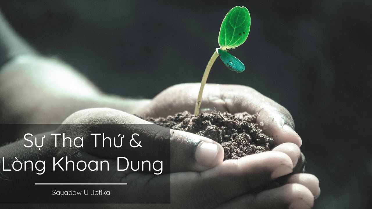 Sự Tha Thứ và Lòng Khoan Dung - Sayadaw U Jotika