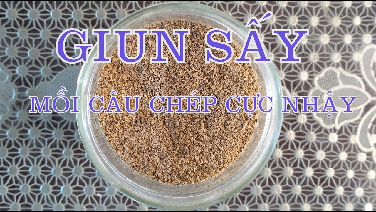 Hướng dẫn sấy giun làm mồi câu lăng xê chép sông