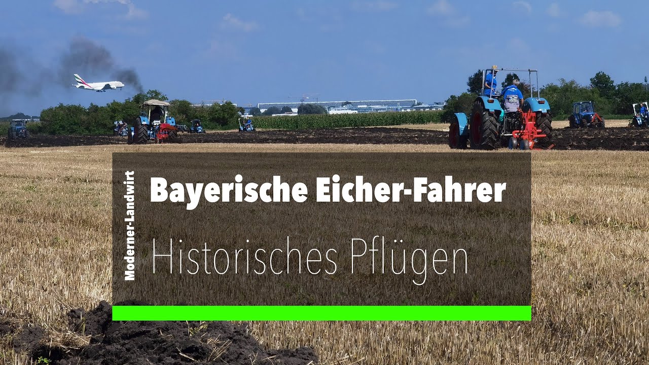 Eicher - Historisches Oldtimer-Pflügen am Hausler-Hof - Mammut EA 600 - Königstiger - Tiger
