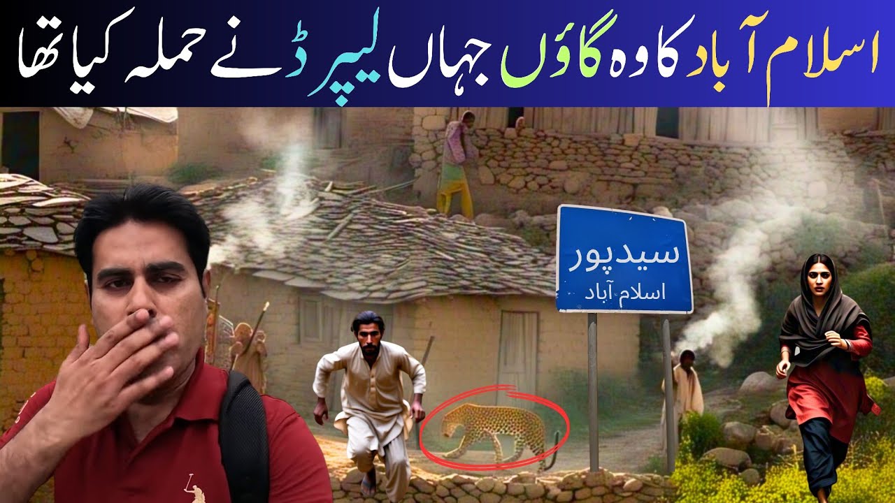 Leopard Attacks in Saidpur Village! What Locals Revealed Will Shock You!