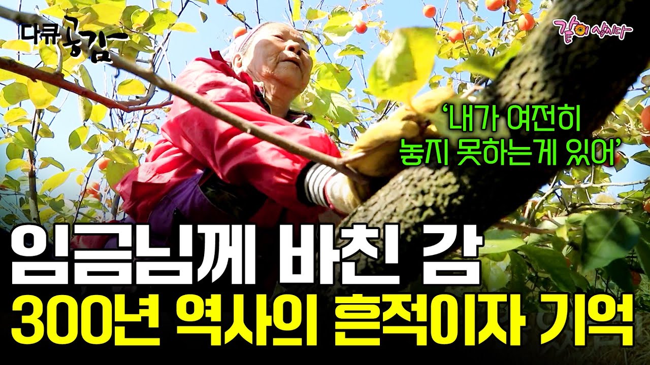 [다큐공감] 여든을 앞둔 나이의 할머니가 20살 나이때 부터 놓지 못하는 것이 있다. 그것은 나의 흔적이자 기억이기 때문에..ㅣKBS 2017.11.25