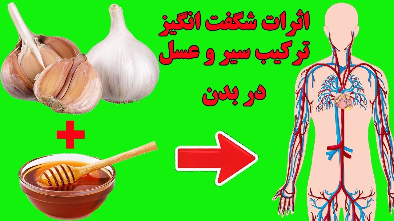 بعد از خوردن ترکیب سیر و عسل چه اتفاقاتی در بدن ما می افتد؟