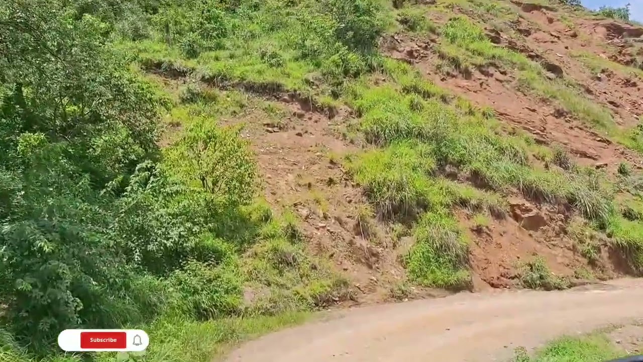 camino viejo 