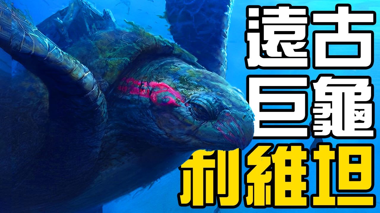 歐洲發現古代超巨型海龜：利維坦巨龜！科學家從冰層中復活了48500年前的巨型病毒？人類是什麼時候學會烹飪的？丨朝化析拾11丨黑毛羊駝