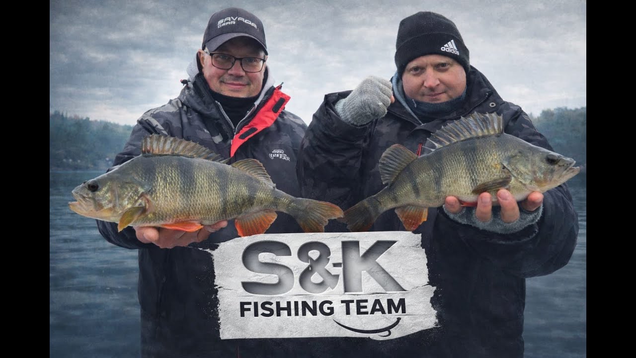 Zimowy challenge: Kto złowi więcej?! 😤Przegrany płaci obiad! #okonie #wędkarstwo #spinning #fishing