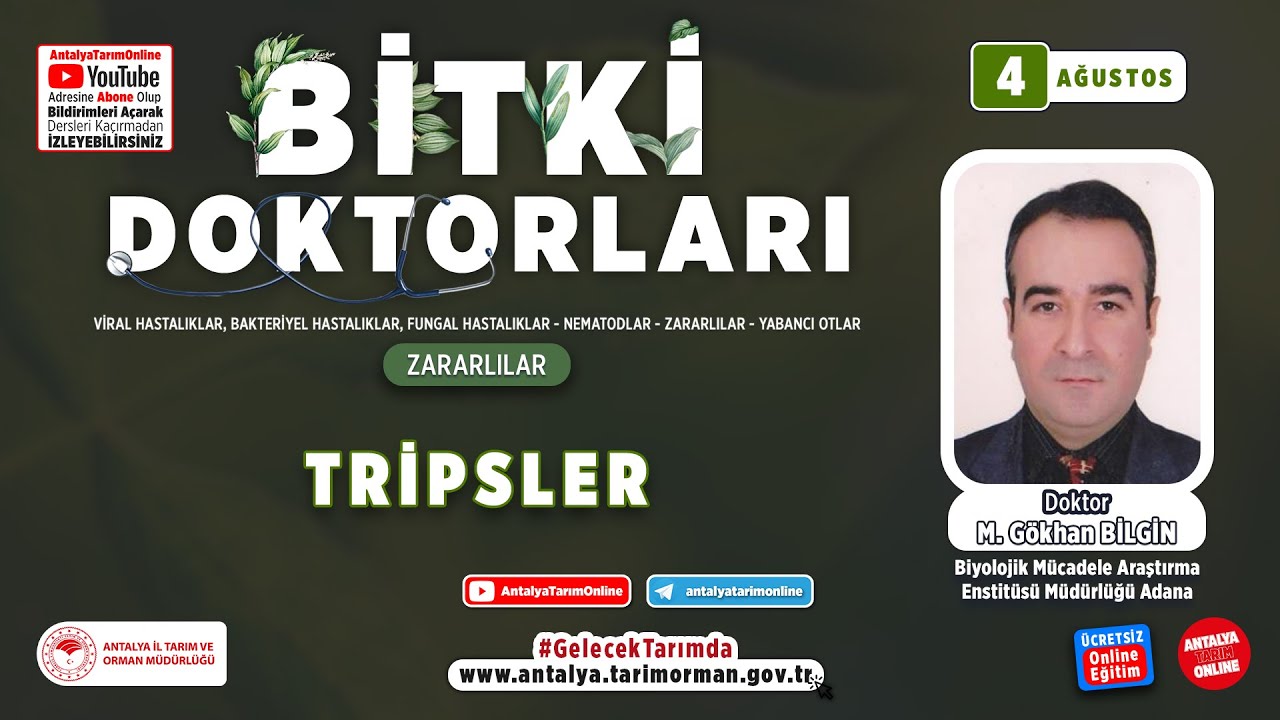 Bitki Doktorları 36- Tripsler ( Thysanoptera: Thripidea ) ve Mücadelesi