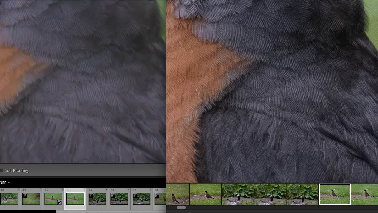 Lightroom Classic is RUINING Nikon Z9 Files