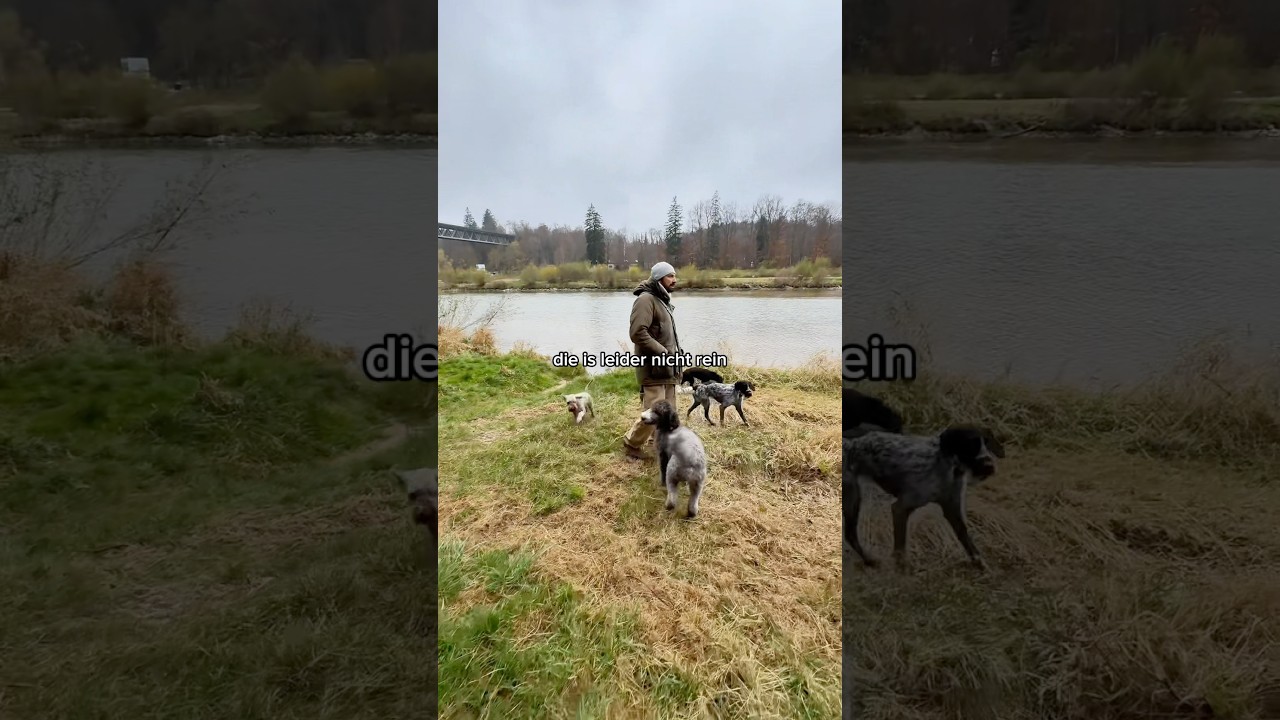 Freilauf managen! #hundetraining